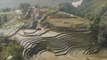 VIETNAM : rizières dans les montagnes de Sapa