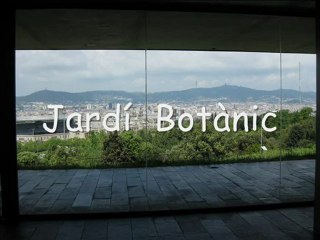 2010-05--08 Jardí Botànic
