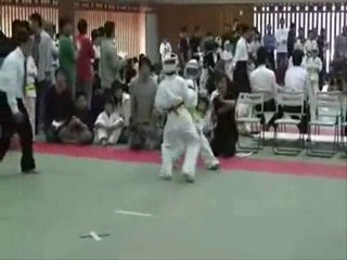 Martial Arts Knockouts : Prokarateshop