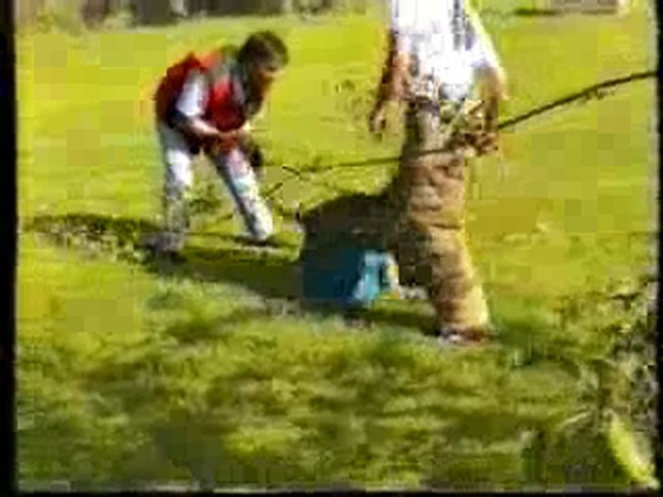 RUPER du Domaine E-Toiles Filantes