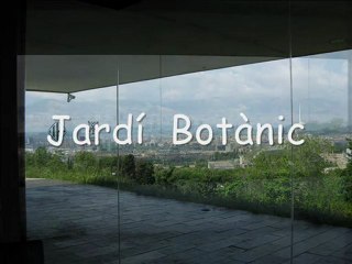 2010-05--08 Jardí Botànic