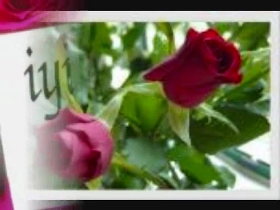 cagri55@live.com