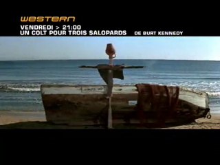 Hannie Caulder (Un colt pour trois salopards) (1971)
