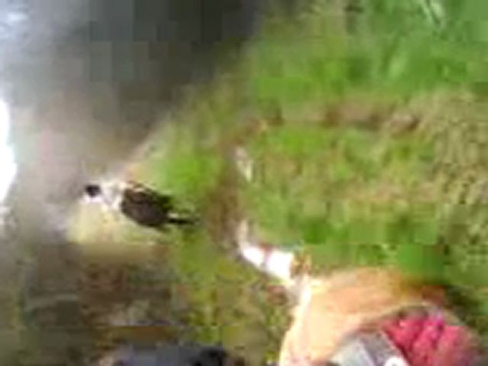 Les filles en saut avec les deux loulous !
