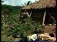 L'île au trésor 5/8 (Charlton Heston & Christian Bale)