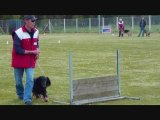 Education canine  CECA 8 mai 2010 Abbeville