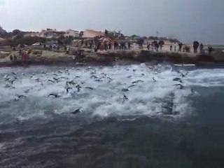 triathlon  sprint sausset 2010