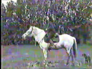 Entrainement voltige Bronco pour yt