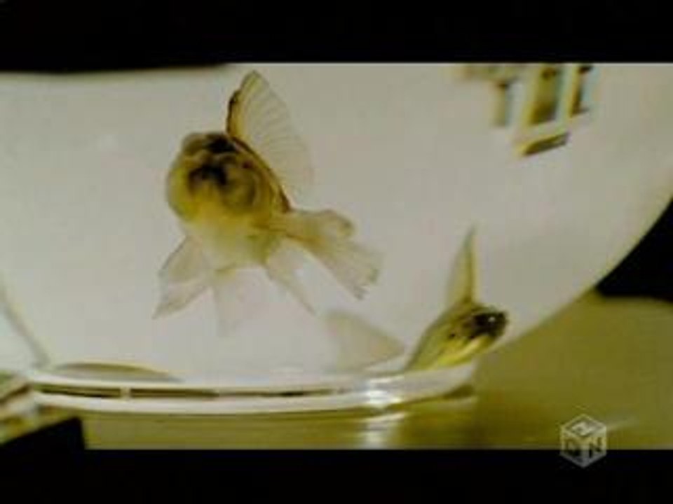 Clip Younda ''Te wo tsunaide''