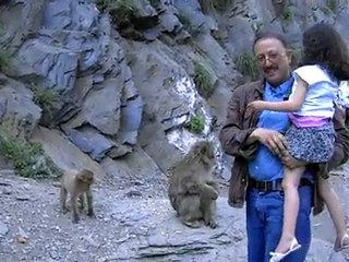 AVRIL 2010 EXCURSION SINGE