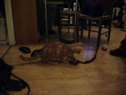 Igor joue avec le plumeau