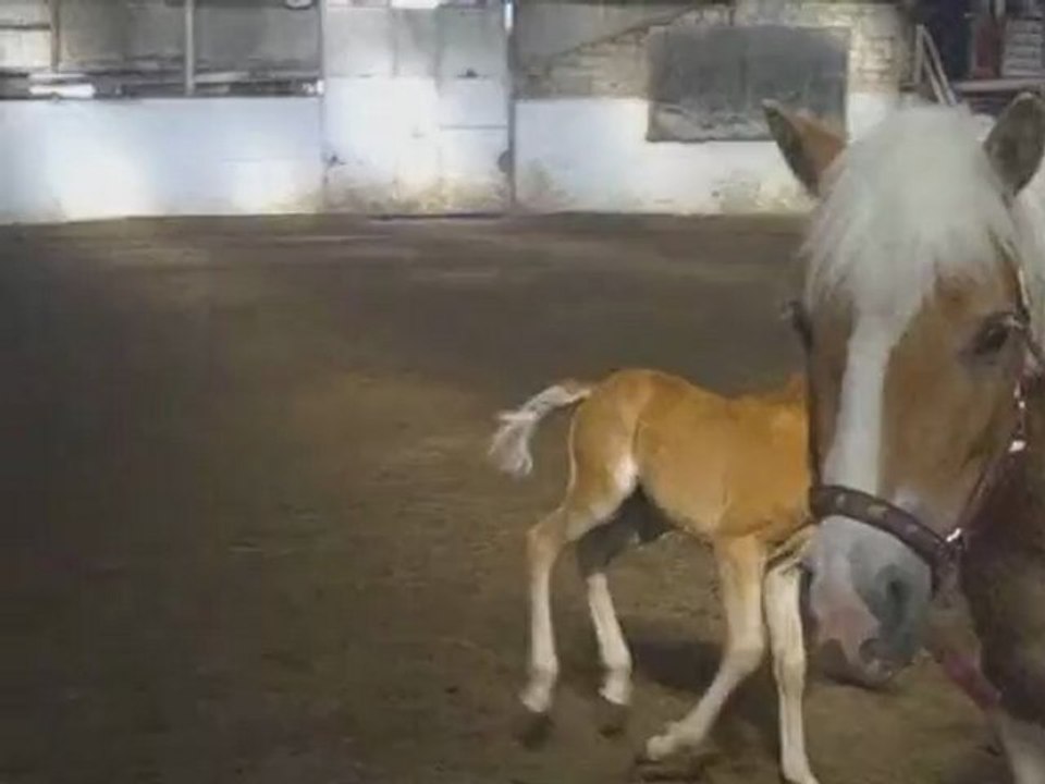 1 mois 4 jours et 1 mois 5 jours de vie de spirit.