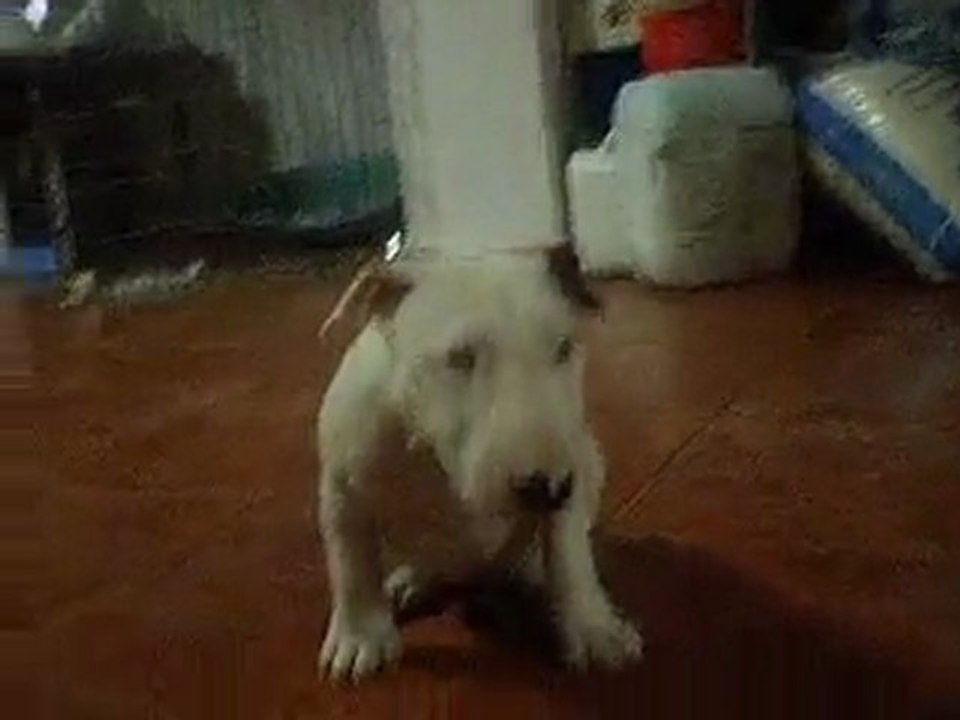 Corriendo un poco