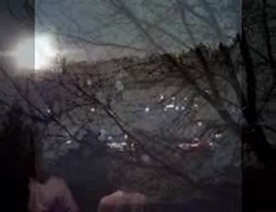 intellegence feat gravity puppet belongings