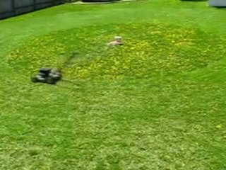 Mühendis nasıl çim biçer.