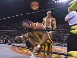 lex luger and rick steiner vs buff bagwell and scott steiner