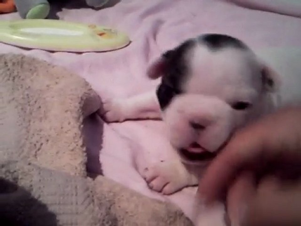 Flash, mon petit coeur !