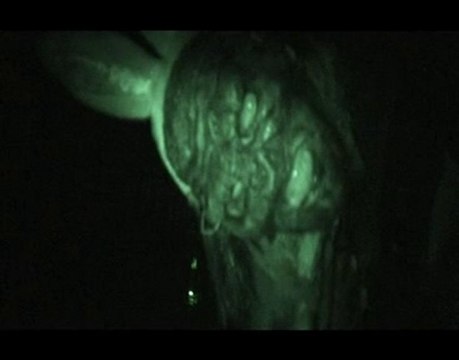 Episode Spécial : Lapin de Pâques et Bêtisier