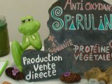 spiruline à la foire Humus 2010