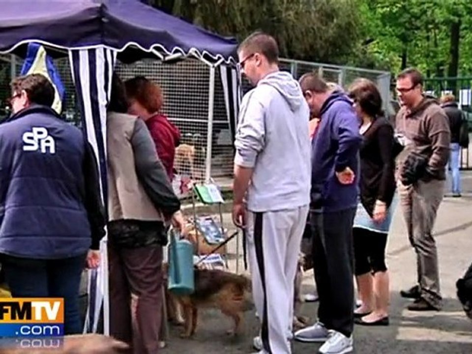 Portes ouvertes à la SPA
