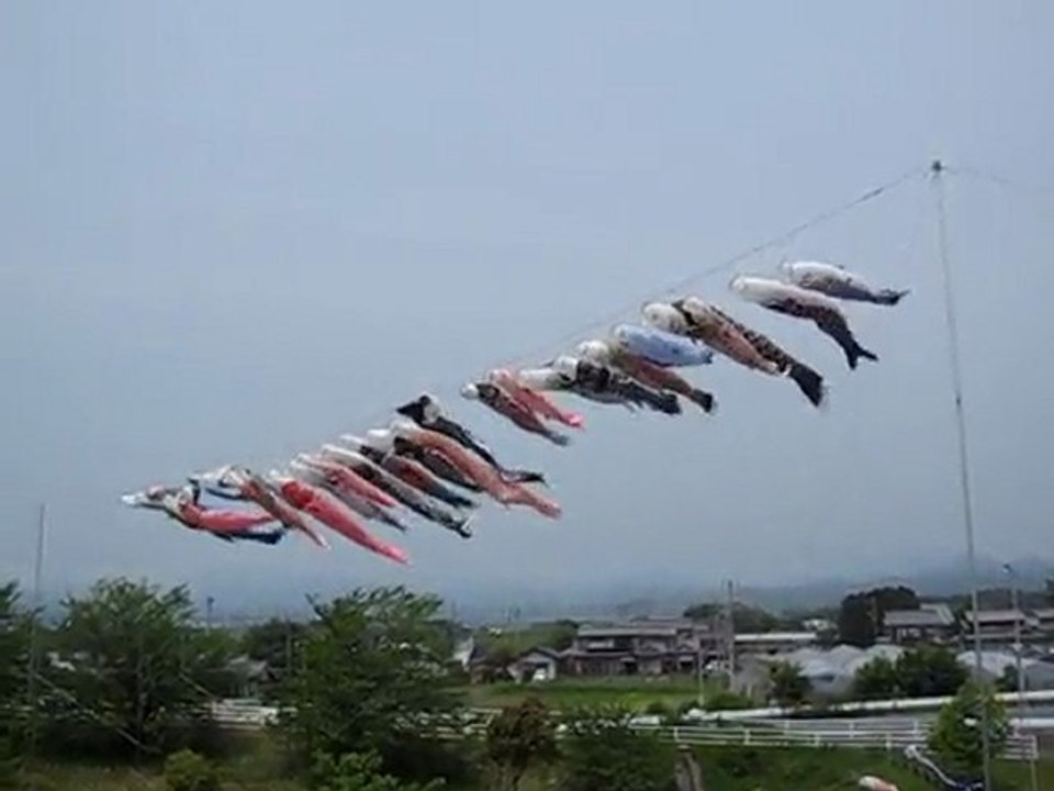 鯉のぼり