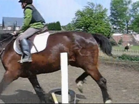 concours obstacle 8-05