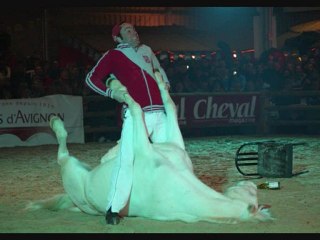 cheval passion 2010