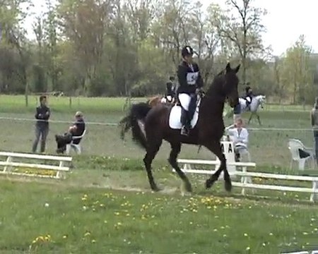 Avril 2010 Dressage Mettay AM2