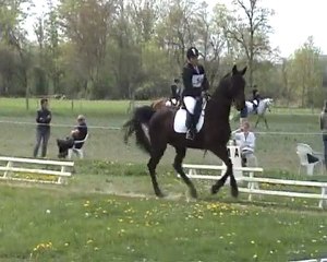 Avril 2010 Dressage Mettay AM2