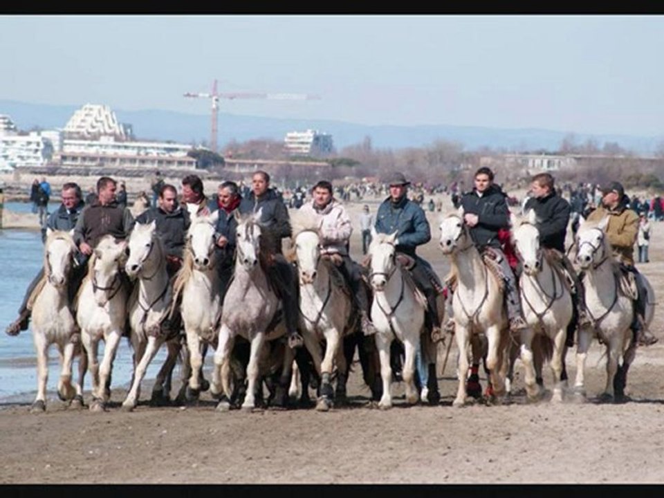 festival abrivado des plages 2010