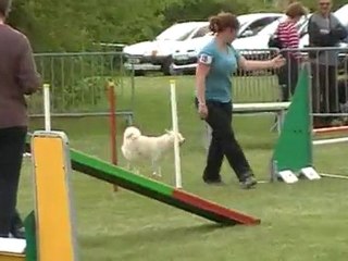 concours jonquerets 08/05/2010 - gpf