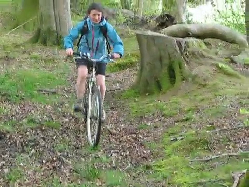 Promenade dans les bois
