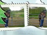 ma best, moi et les chevaux