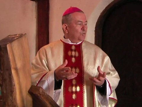 Omilie / Întâlnirea ÎPS Ioan cu jurnaliştii catolici