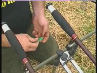 Le sondage pêche de la carpe