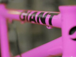 Jolene Van Vugt's Sweet Giant Ride BMX