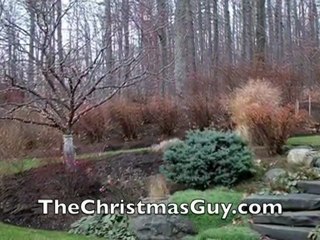 Professional Christmas Light Installation