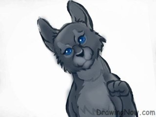 How to Draw Warrior Cats