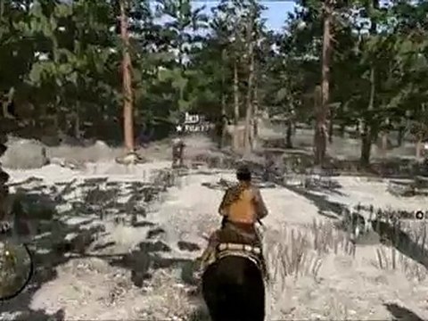 red dead redemption-Le multijoueur en monde ouvert