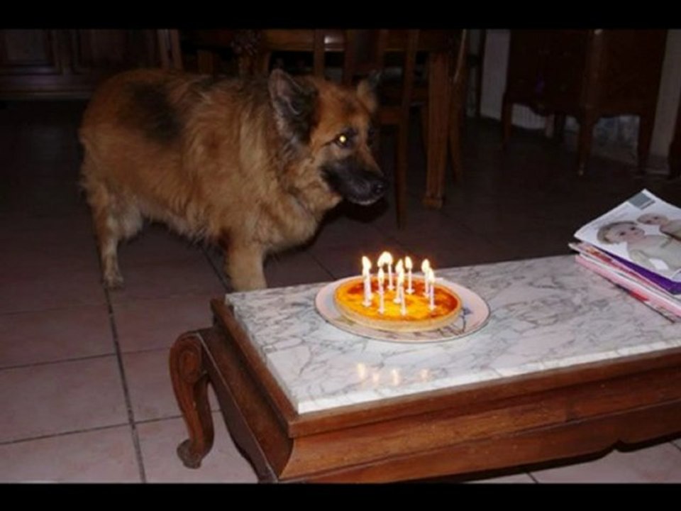 L'anniversaire de Suzy