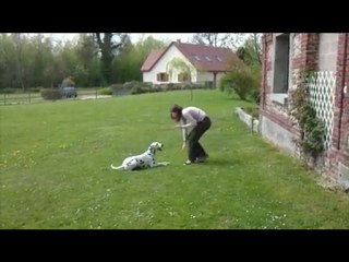 Léa & Baako obérythmée