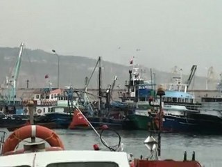 Erdemir,hava kirliliği