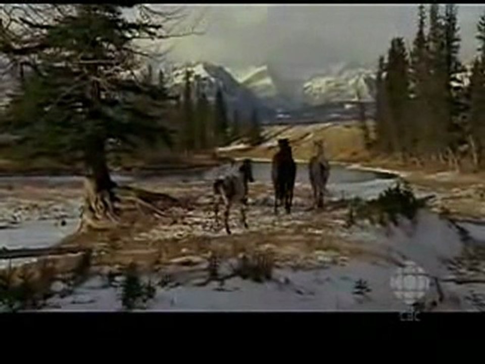 Heartland Amy and Ty moments