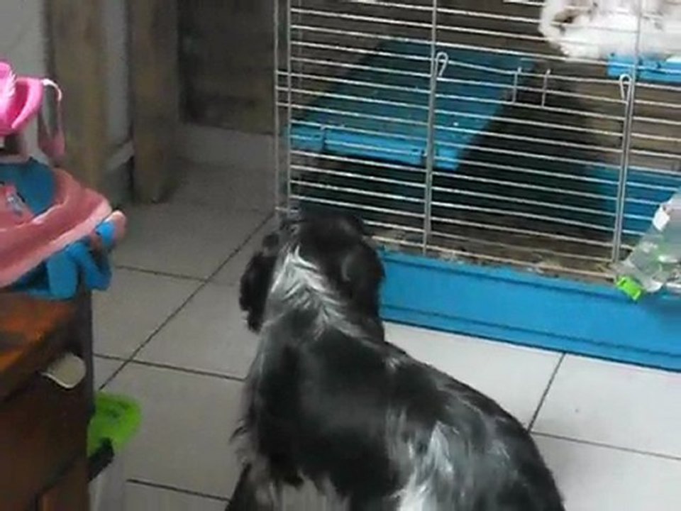 Hugo et mimi