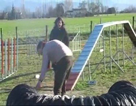 geraldine et baïa entrainement agility le 06-03-2010