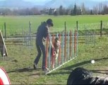 jessica et youka entrainement agility  le 06-03-2010