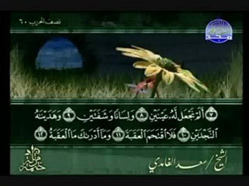 سورة البلد الشيخ سعد الغامدي Al-Balad