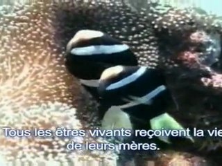 Ahnsahnghong, Dieu la Mère