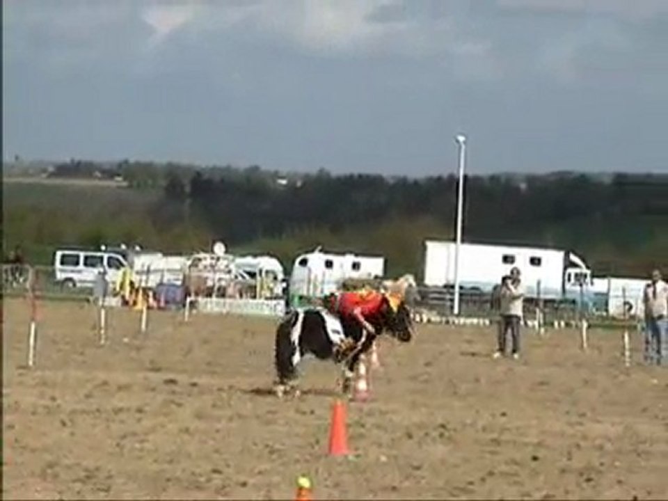 Challenge Chtis Ouest Vitré Manche 3 Mini Logis du Poney
