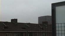 kauw 2